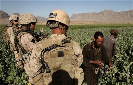 Файл:НАТО-мак-афганистан.jpg