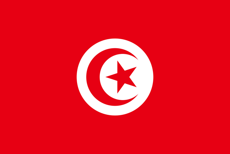 Файл:Флаг Туниса.png