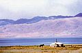 Убсунурская котловина и озеро Убсу-Нур — крупнейшее озеро в котловине Больших Озёр, крупнейшее озеро Монголии (на границе с Тувой)