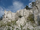 Меловые скалы в Бекарюковском бору