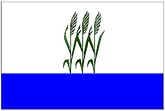 Камыш (герб и флаг Камышина) и Волго-Ахтубинская пойма