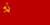 Флаг СССР (1924).png