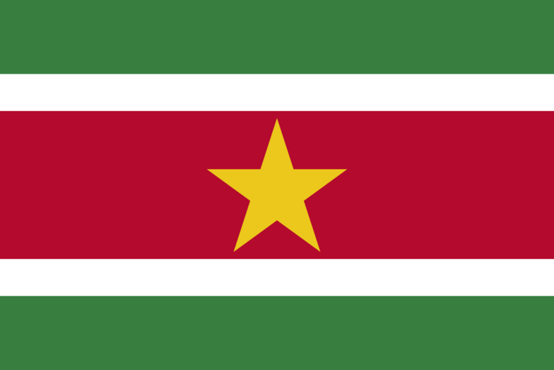 Файл:Флаг Суринама.png