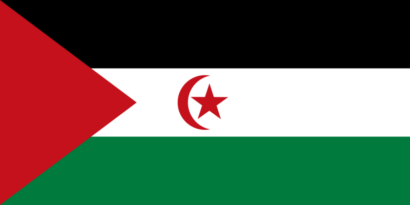 Файл:Флаг Западной Сахары.png