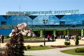 Новосибирский зоопарк (Новосибирск) – крупнейший зоопарк в России[29]