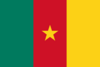 Флаг Камеруна.png