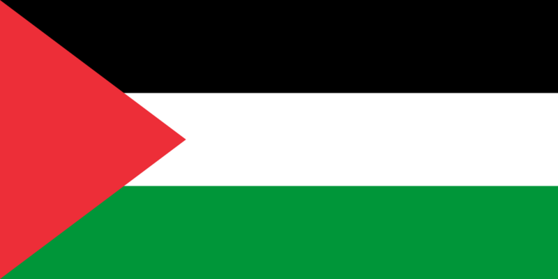 Файл:Флаг Палестины.png