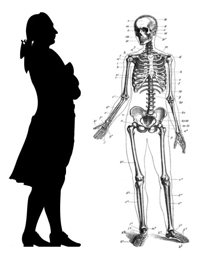 Файл:Силуэт XVIII века и скелет.jpg