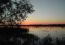 Мещёрская низменность