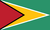 Флаг Гайаны.png