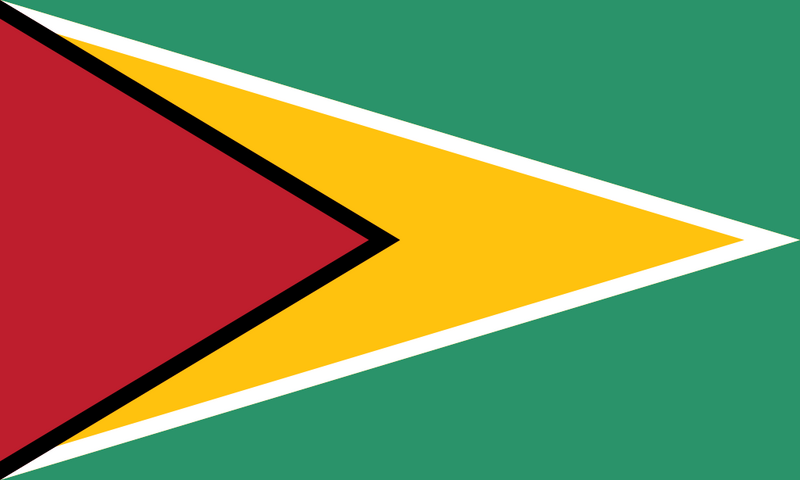 Файл:Флаг Гайаны.png