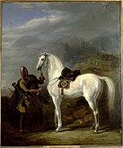 Кабардинская (горская) лошадь