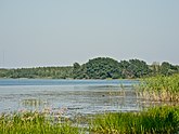 Галичское озеро - крупнейшее озеро области