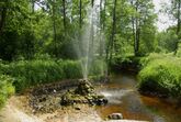 Судогодский гейзер – природный фонтан, бьющий из подземного озера (под Судогдой)