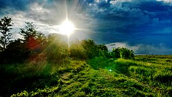 Центрально-Чернозёмный заповедник (Стрелецкая степь) — типичная природа Среднерусской возвышенности в пределах средней полосы лесостепной зоны