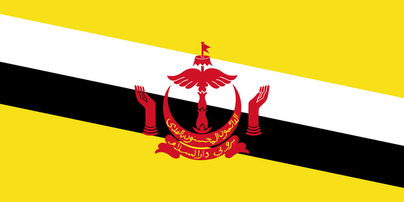 Файл:Флаг Брунея.png