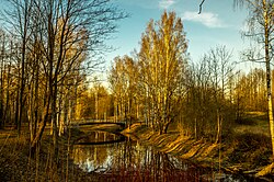 Невский лесопарк