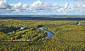 Васюганские болота (Томская область)