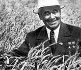 Василий Ремесло — Дважды Герой Труда, вывел около сорока сортов разных зерновых культур, включая широко распространённый в СССР и за рубежом озимый сорт пшеницы «Мироновская 808»