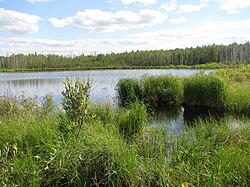 Большое Рассолово и другие карстовые озёра Ивановской области