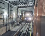 Серпуховско-тимирязевская ("серая") ветка Московского метрополитена. Вторая по длине во всём мире и самая длинная ветка в Европе[12], целиком расположенная под землёй (в том же Лондоне или Нью-Йорке крайние станции линий работают больше как пригородные электрички).