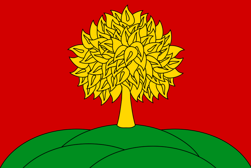 Файл:Флаг Липецкой области.png