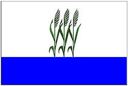 Камыш (герб и флаг Камышина) и Волго-Ахтубинская пойма