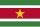 Flag of Suriname.svg