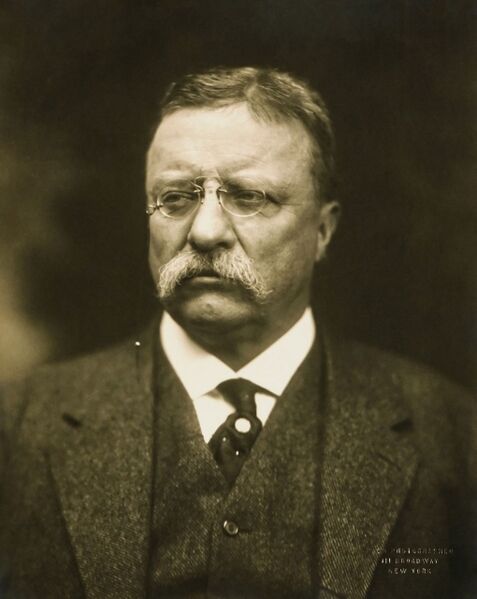 Файл:Theodore Roosevelt.jpg