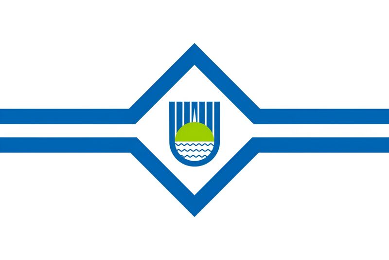 Файл:Флаг Биробиджана.jpg