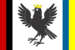 Флаг Ивано-Франковской области.png