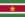 Флаг Суринама.png