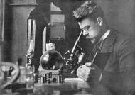 Николай Кольцов — открыл клеточный каркас (цитоскелет), автор первой теории молекулярного строения и матричного синтеза хромосом, основатель советской школы экспериментальной биологии