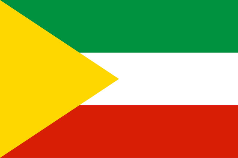 Файл:Флаг Читы.png