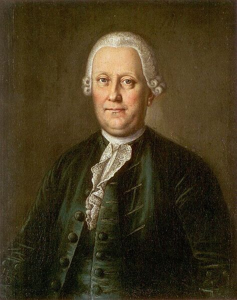 Файл:Савва Яковлев. Худ. Мина Колокольников.jpg