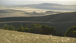 Оренбургский заповедник