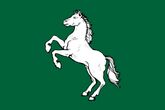 Серебряный конь — герб и флаг Томска и области