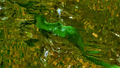 Кумо-Манычская впадина - место древнего пролива, когда-то соединявшего Чёрное и Каспийское моря.</ref> и озеро Маныч-Гудило-->