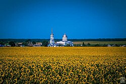 Подсолнечник – на гербе и флаге Россошанского района[5]