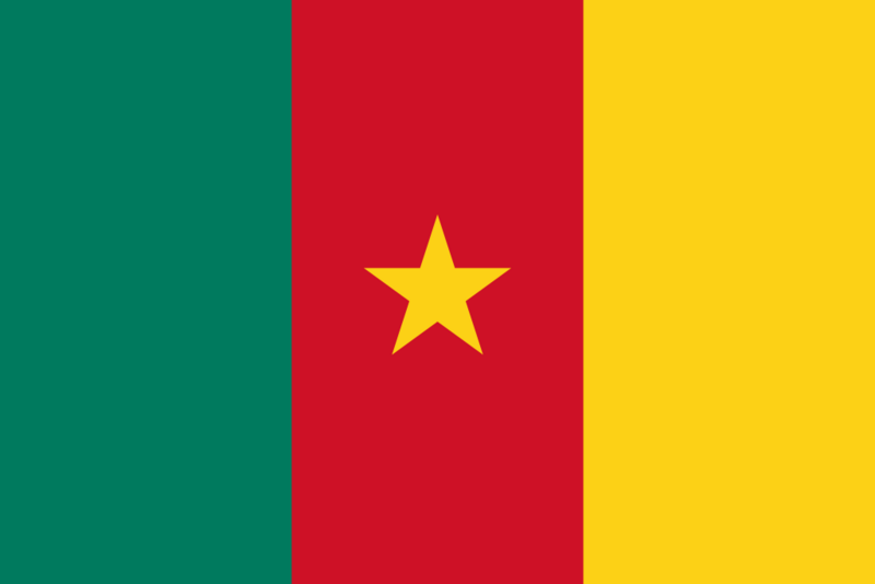 Файл:Флаг Камеруна.png