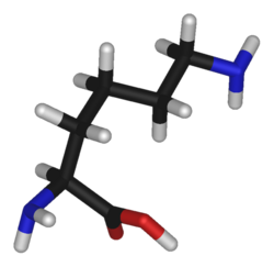 Лизин — единственное производство данной аминокислоты в России