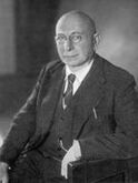 Сергей Бернштейн - решил 19-ю проблему Гильберта, основатель конструктивной теории функций, автор полинома Бернштейна, неравенства, проблемы и ряда теорем Бернштейна