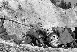 Советские артиллеристы в Карпатах (1944).jpg