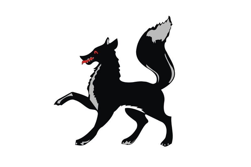 Файл:Флаг Салехарда.jpg