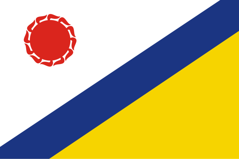 Файл:Флаг Элисты.png