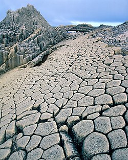 Мыс Столбчатый на острове Кунашир