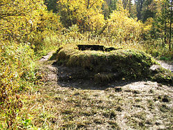 Таловские чаши и их аналоги в других местах области