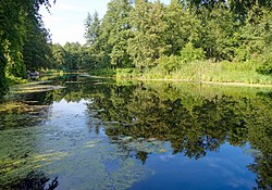 Воронежский заповедник (на границе с Липецкой областью)