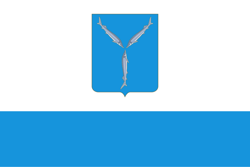 Файл:Флаг Саратова.png