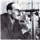 Николай Семёнов - основатель химической физики, тепловой теории воспламенения и теории цепных реакций, открыл разветвлённые цепные реакции; нобелевский лауреат по химии